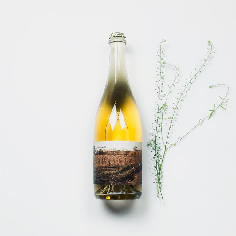 Vinyes Singulars Vinyes Singulars - Minipuça - 2023