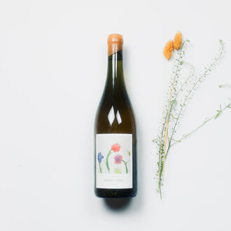 Vinyes Singulars Vinyes Singulars - Xarel Lo Brisat - 2023