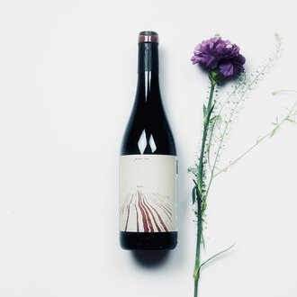 Jean-Marc Vilboux Jean-Marc Vilboux - Réga - 2024