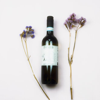 Fidora Poderi del Leone by Fidora - Pinot Grigio - 2024