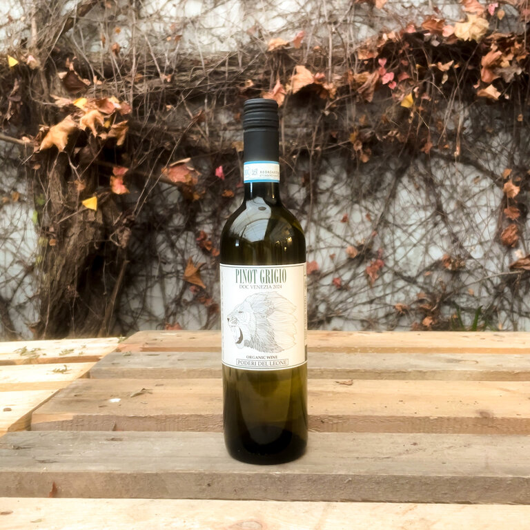 Fidora Poderi del Leone by Fidora - Pinot Grigio - 2024
