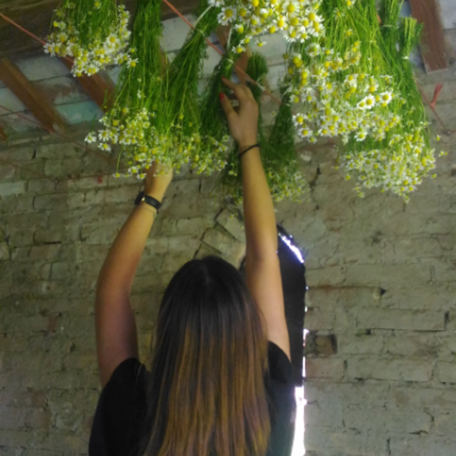 Poderi Del Leone by Fidora