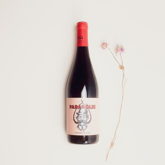 Vinicola De Nulles Vinicola De Nulles - Parabolic Negre - 2024