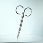 Rubis Rubis Voetnagelschaar Sauro