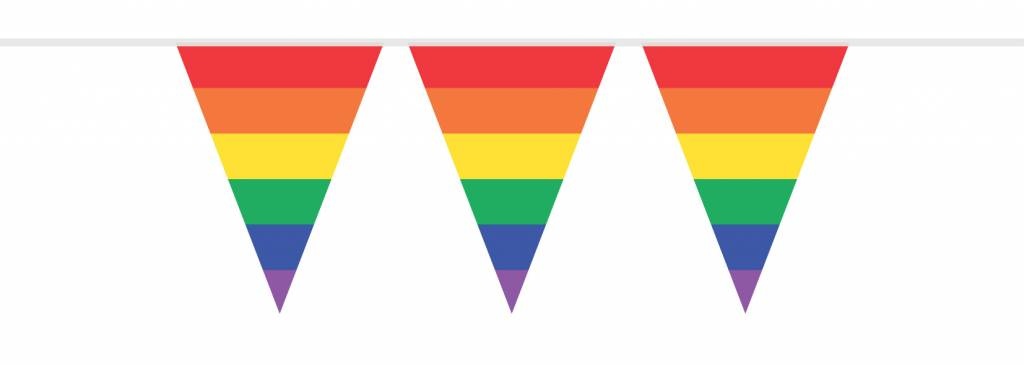 Vlaggenlijn Regenboog 10M
