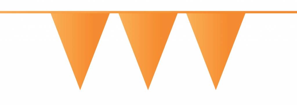Vlaggenlijn Oranje 10M
