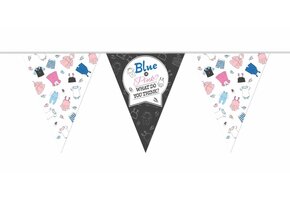 Vlaggenlijn Gender Reveal 10M