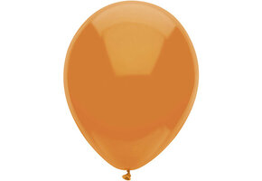 Ballonnen Oranje (15ST)