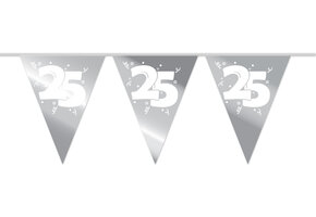 Vlaggenlijn Metallic Zilver 25 (10M)
