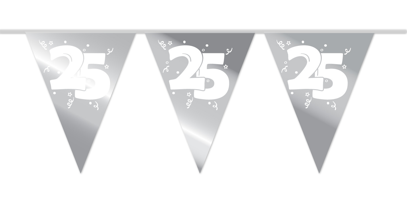 Vlaggenlijn Metallic Zilver 25 (10M)