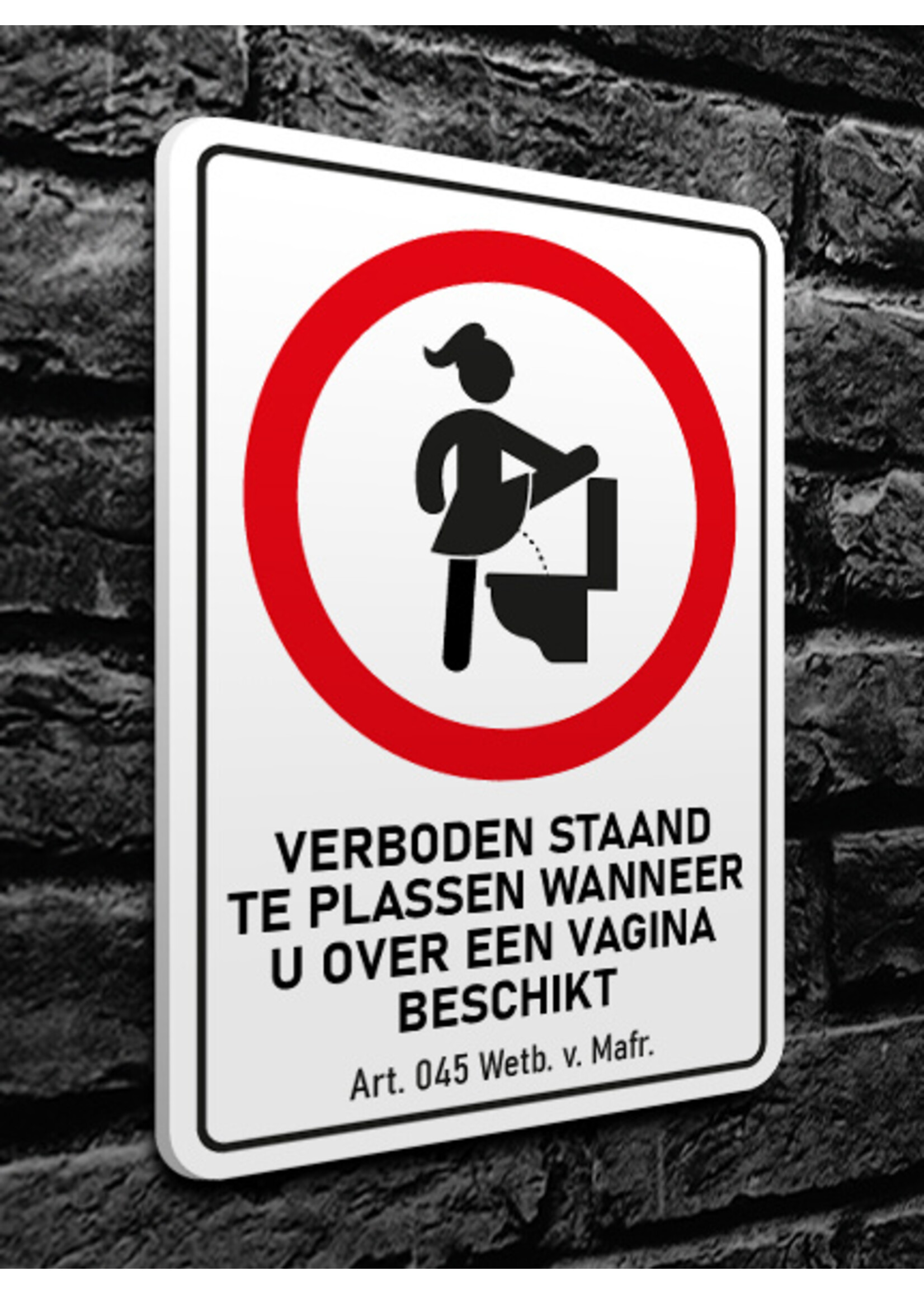 Wetboek van Mafrecht Artikel 45 - VERBODEN STAAND TE PLASSEN WANNEER U OVER EEN VAGINA BESCHIKT