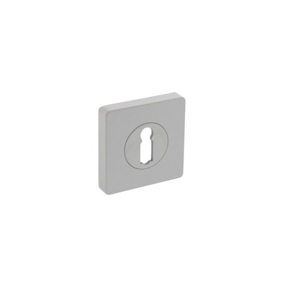 Intersteel Sleutelrozetten vierkant wit - voor sleutelslot - Intersteel