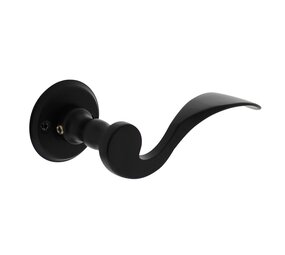 Intersteel Deurklink Lepel met rozet schroefgat mat zwart Intersteel Deurklink Lepel met rozet schroefgat mat zwart