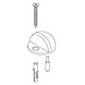 Intersteel Deurstopper bolrond geborsteld RVS Intersteel Deurstopper bolrond geborsteld RVS