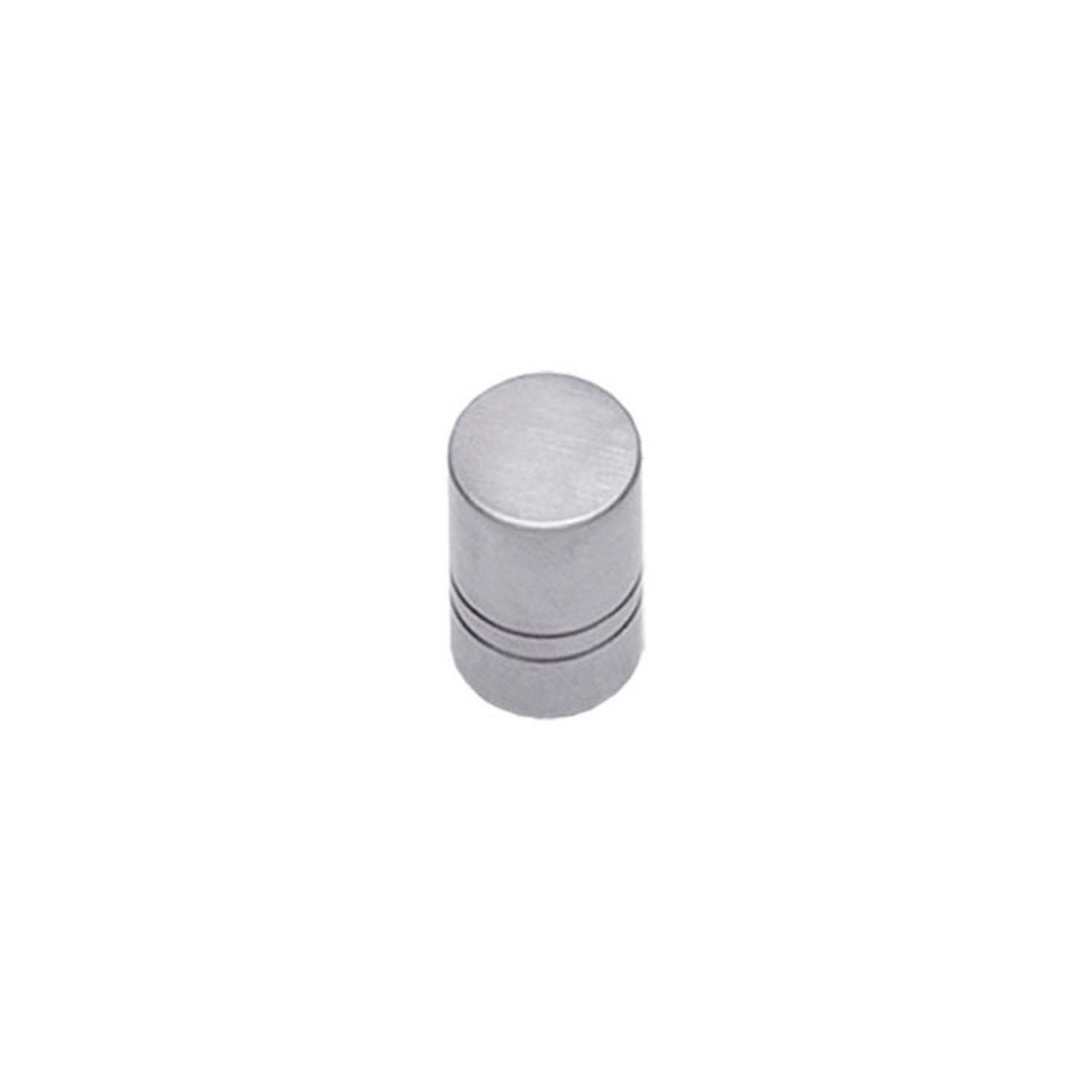 Intersteel Meubelknop 18mm geborsteld RVS