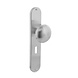 Intersteel Deurknop Paddenstoel op schild sleutelgat 56mm geborsteld RVS Intersteel Deurknop Paddenstoel op schild sleutelgat 56mm geborsteld RVS
