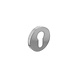 Intersteel Cilinderrozet rond verdekt geborsteld RVS Intersteel Cilinderrozet rond verdekt geborsteld RVS