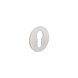 Intersteel Cilinderrozet 55x2mm zelfklevend geborsteld RVS Intersteel Cilinderrozet 55x2mm zelfklevend geborsteld RVS