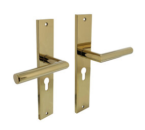 Intersteel Deurklink Bastian op schild 245x45 mm met profielcilindergat 55mm messing titaan PVD