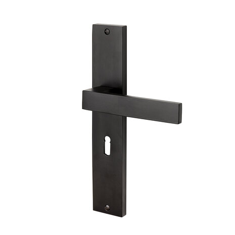 Mooi Deurbeslag Deurklink Lusso geveerd schild sleutelgat 55mm mat zwart - deurbeslag voor binnendeur Mooi Deurbeslag Deurklink Lusso geveerd schild sleutelgat 55mm mat zwart - deurbeslag voor binnendeur