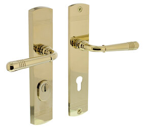 Intersteel Achterdeurbeslag Helena profielcilindergat deurklink 72mm met kerntrekbeveiliging PVD messingkleur