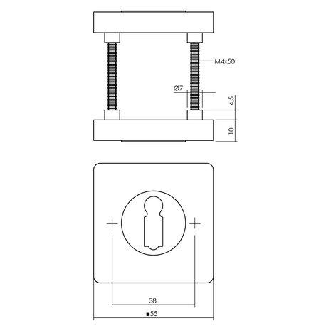 Intersteel Sleutelrozetten verdekt met nokken in glanzend messing