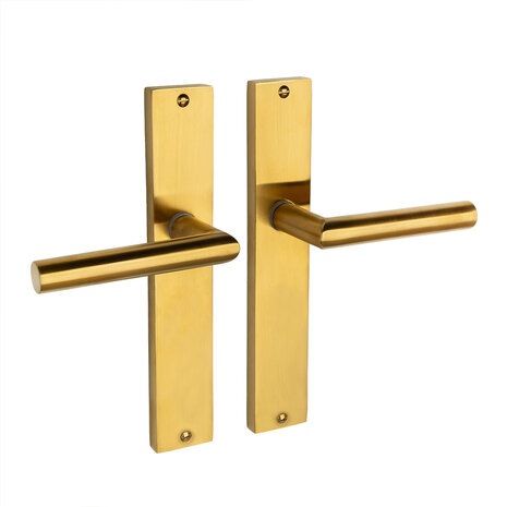 Mooi Deurbeslag Ferro geveerd op schild mat messing Mooi Deurbeslag Ferro geveerd op schild mat messing