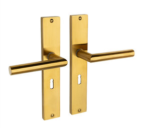 Mooi Deurbeslag Ferro geveerd op schild sleutelgat 55mm mat messing