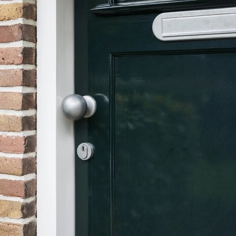 Intersteel Brievenbus ovaal met klep en regenrand getrommeld RVS Intersteel Brievenbus ovaal met klep en regenrand getrommeld RVS