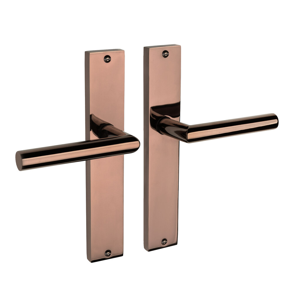 Mooi Deurbeslag Ferro geveerd op schild PVD glanzend brons Mooi Deurbeslag Ferro geveerd op schild PVD glanzend brons