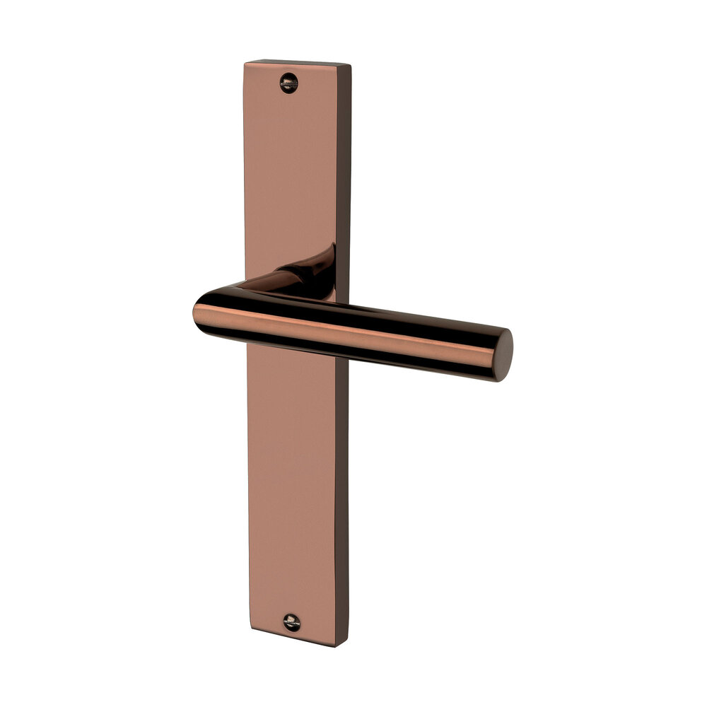 Mooi Deurbeslag Ferro geveerd op schild PVD glanzend brons Mooi Deurbeslag Ferro geveerd op schild PVD glanzend brons