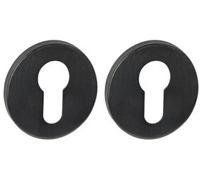 Intersteel Cilinderrozetten verdekt PVD zwart