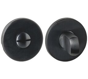 Intersteel WC-sluiting verdekt PVD zwart