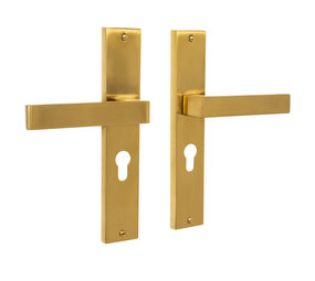 Mooi Deurbeslag Lusso geveerd op schild cilindergat 55mm mat messing Mooi Deurbeslag Lusso geveerd op schild cilindergat 55mm mat messing