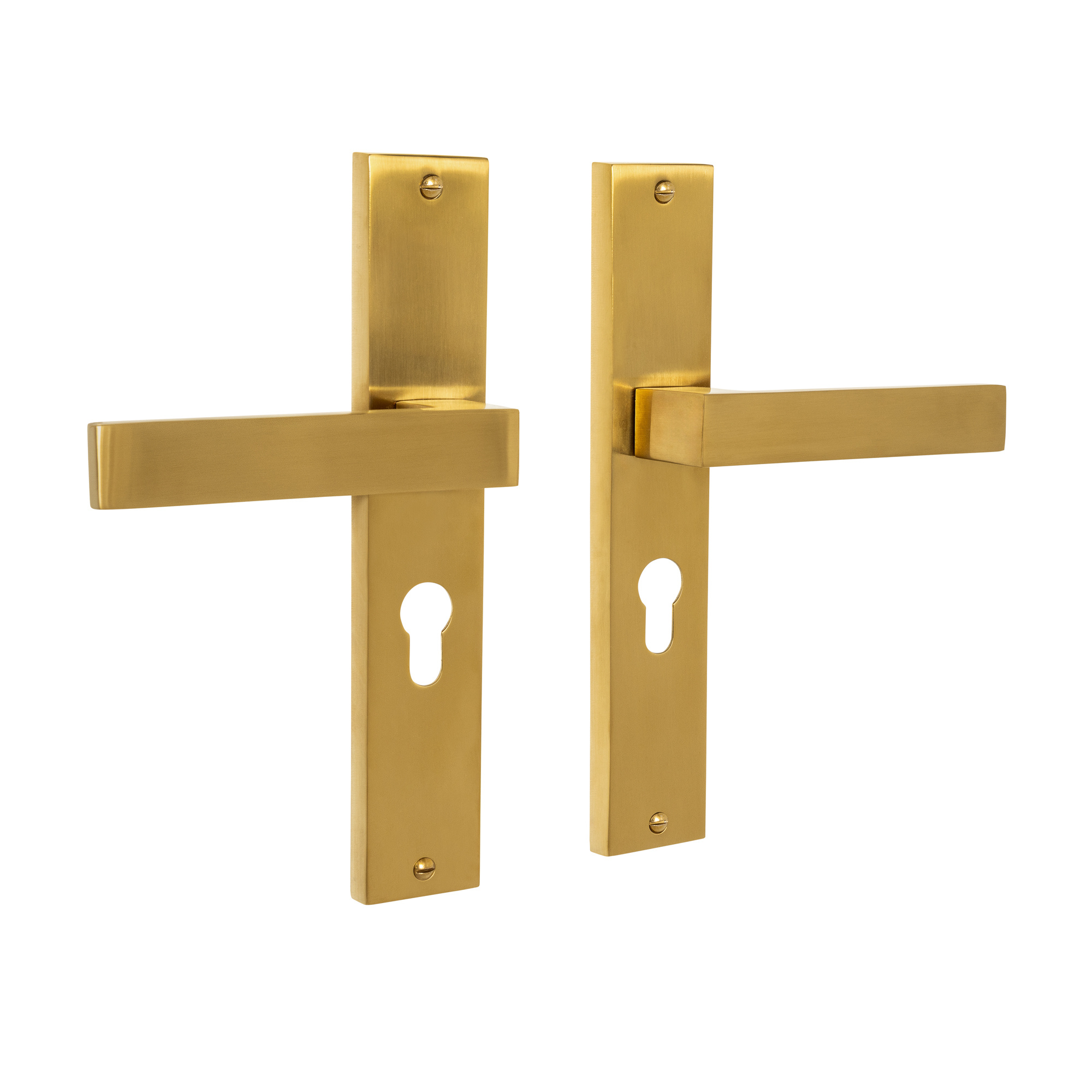 Mooi Deurbeslag Lusso geveerd op schild cilindergat 55mm mat messing