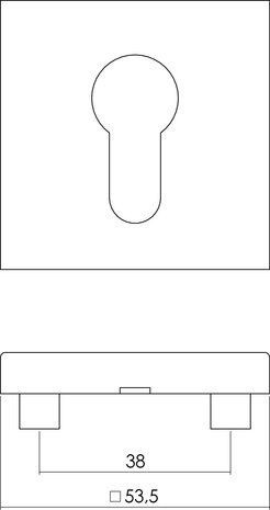 Intersteel Cilinderrozetten vierkant geborsteld RVS Intersteel Cilinderrozetten vierkant geborsteld RVS