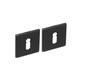 Intersteel Sleutelrozetten vierkant geborsteld RVS mat zwart Intersteel Sleutelrozetten vierkant geborsteld RVS mat zwart