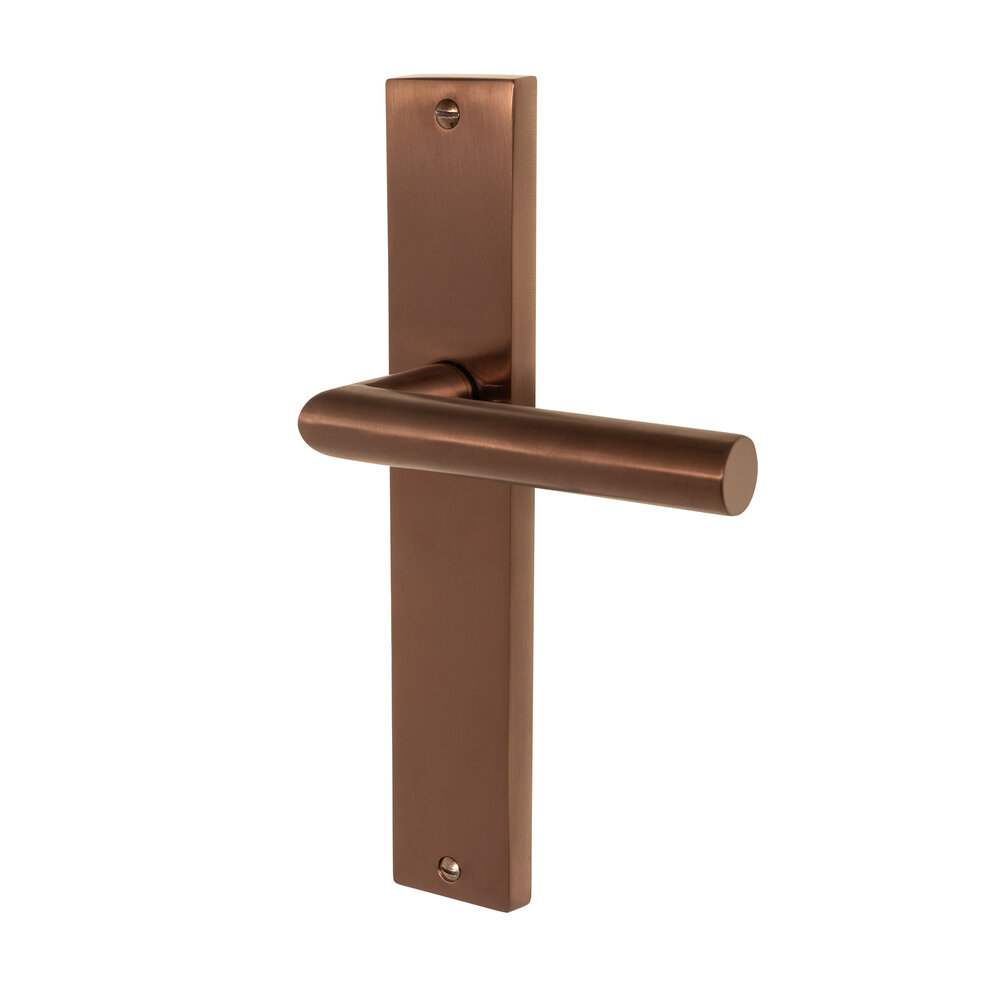 Mooi Deurbeslag Ferro geveerd op schild mat brons