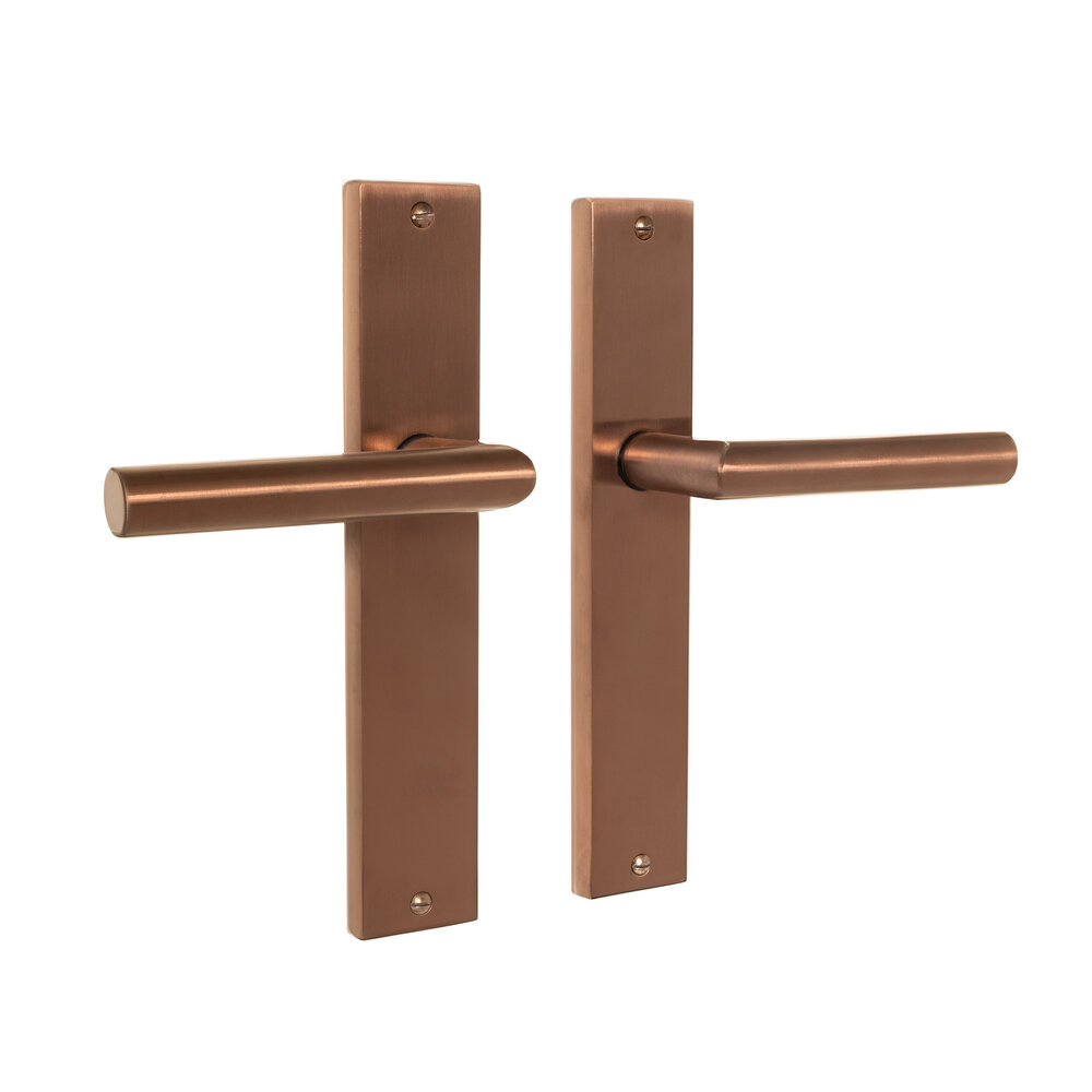 Mooi Deurbeslag Ferro geveerd op schild mat brons