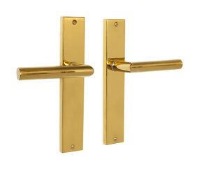 Mooi Deurbeslag Ferro geveerd op schild messing PVD