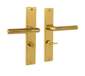 Mooi Deurbeslag Ferro geveerd op schild wc 63/8 messing PVD