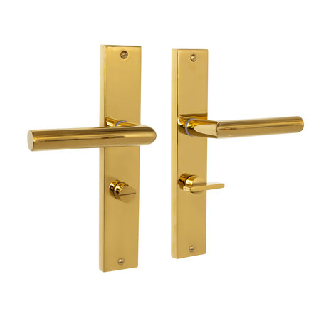 Mooi Deurbeslag Ferro geveerd op schild wc 63/8 messing PVD