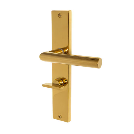 Mooi Deurbeslag Ferro geveerd op schild wc 63/8 messing PVD