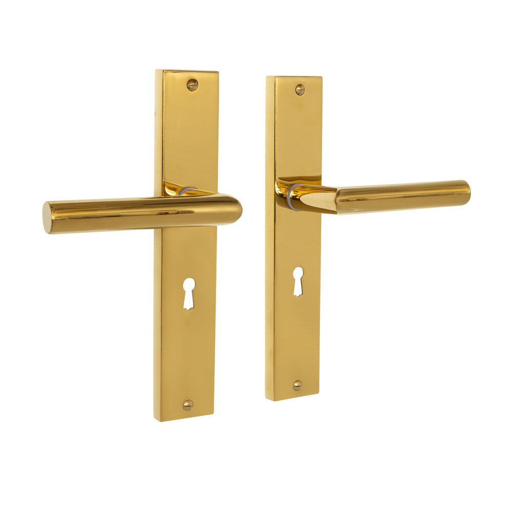 Mooi Deurbeslag Ferro geveerd op schild sleutelgat 55mm messing PVD