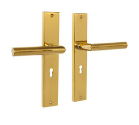 Mooi Deurbeslag Ferro geveerd op schild sleutelgat 55mm messing PVD