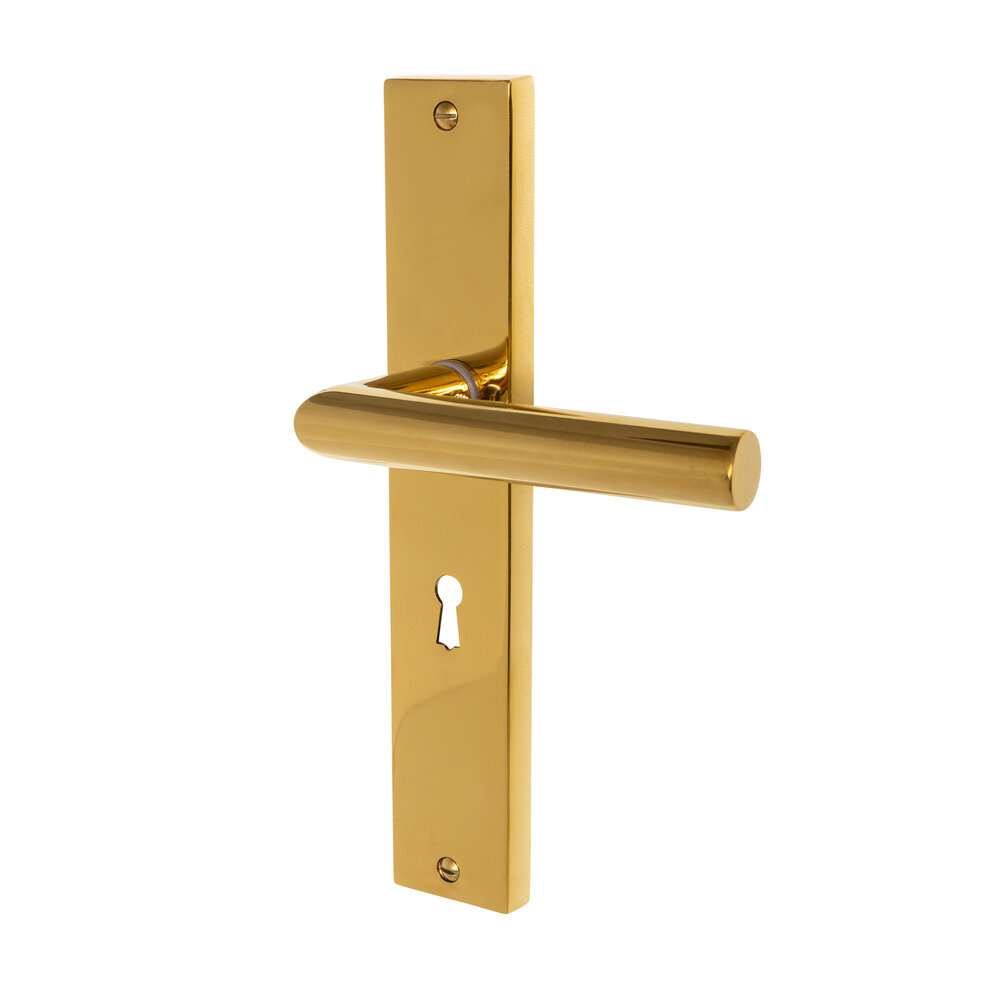 Mooi Deurbeslag Ferro geveerd op schild sleutelgat 55mm messing PVD