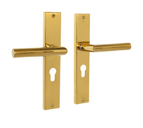 Mooi Deurbeslag Ferro geveerd op schild cilindergat 55mm messing PVD