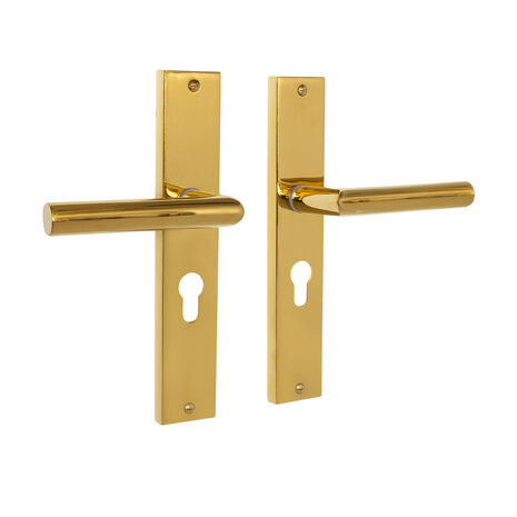 Mooi Deurbeslag Ferro geveerd op schild cilindergat 55mm messing PVD