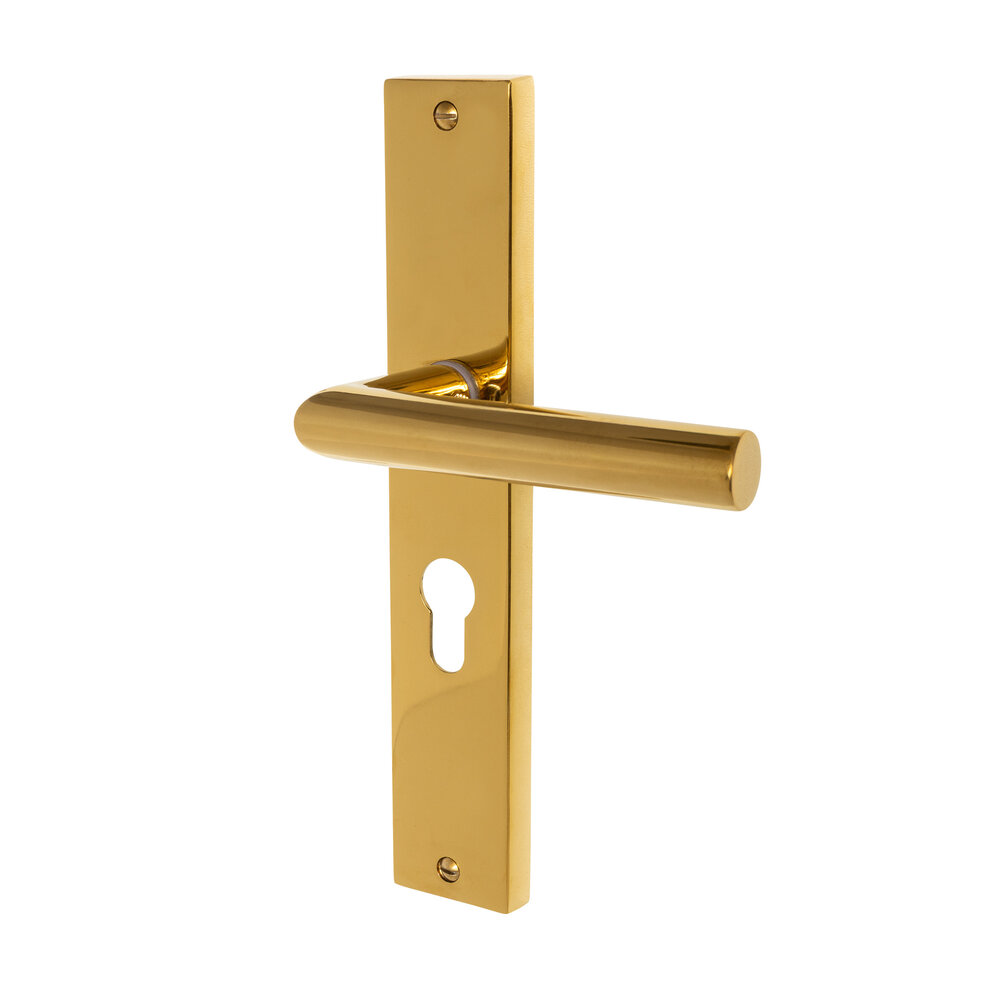 Mooi Deurbeslag Ferro geveerd op schild cilindergat 55mm messing PVD