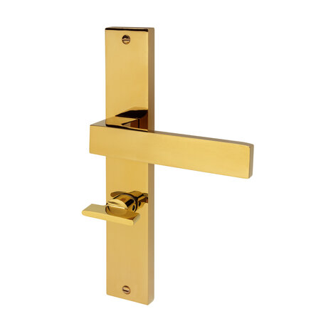 Mooi Deurbeslag Lusso geveerd op schild wc 63/8 messing PVD